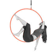 Master the Art of Flight